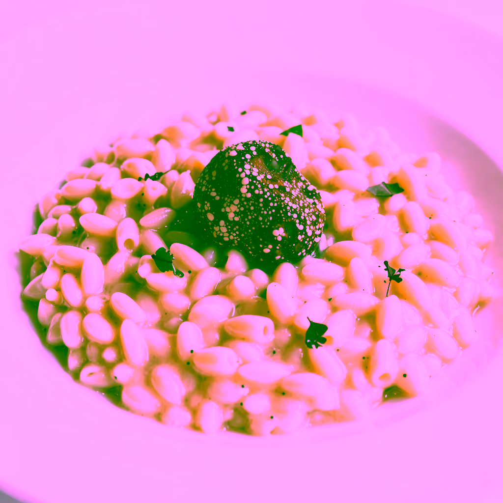 Saveurs du Nord : Découvrez les Plats Emblématiques de l'Italie Septentrionale