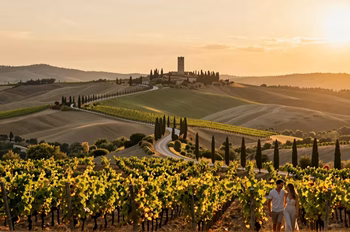 Région du Chianti : Guide Complet du Paradis Viticole de Toscane