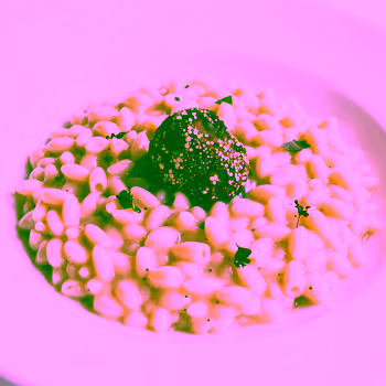 Saveurs du Nord : Découvrez les Plats Emblématiques de l'Italie Septentrionale