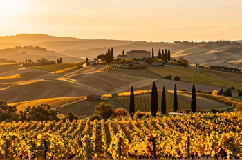 Que Faire dans le Chianti : 15 Expériences Incontournables